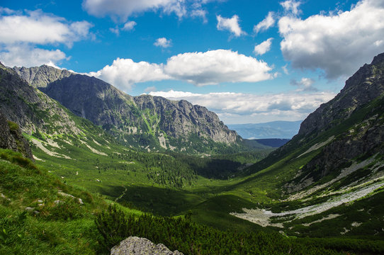 Fototapeta Fresh, green landscape of Mieguszowiecka valley in High Tatras, Slovakia