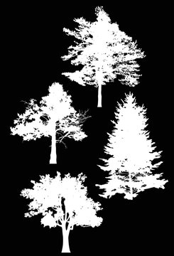 four tree silhouettes illustration on black