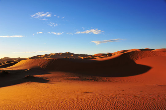 サハラ砂漠 © chameleon