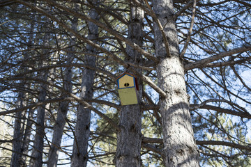 A lovely wooden bird house in the forest	