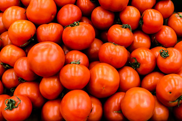 Fresh organic tomatoes sold on market