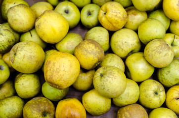 Fresh organic apples sold on market