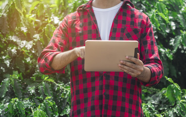 Farmer using digital tablet computer in cultivated coffee field plantation. Modern technology application in agricultural growing activity. Concept Image.