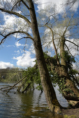sturmschaden