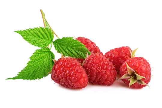 fresh raspberries organic raspberry with leaf isolated on white