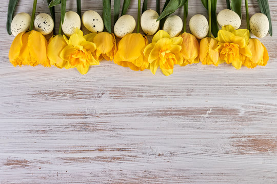 Background Easter yellow tulips and daffodil flowers in a row with Easter Eggs. Copy space