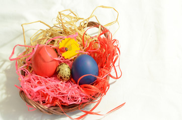 Easter eggs on a light background