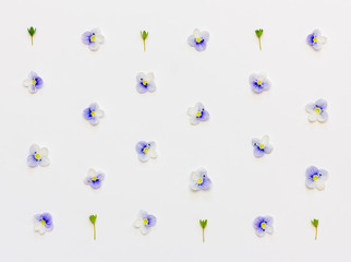 Pattern with blue flower petals and green leaves on a white background. Flat lay, top view