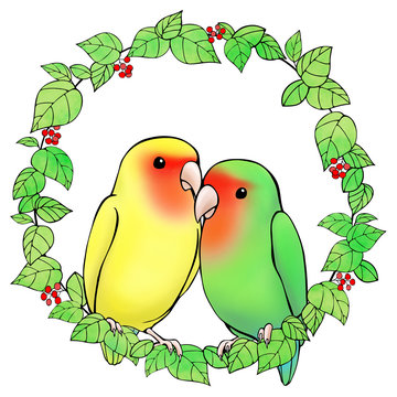 小桜インコ」の写真素材 | 42件の無料イラスト画像 | Adobe Stock