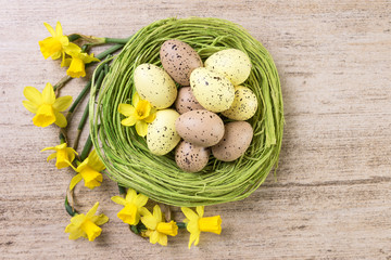 Spring Flowers with Easter Eggs in green straw nest on light brown background