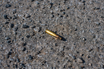 empty shell casing