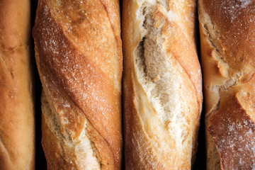 Bread loafs at bakery