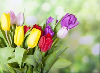 Fototapeta premium Colorful Flowers Bouquet