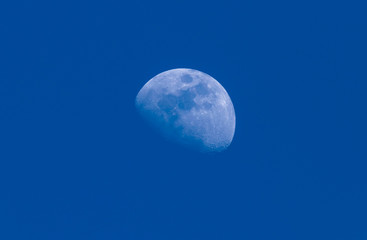 Early morning Moon in a Waxing Gibbous phase in the blue sky background. Detailed craters. Centered. Copy space.