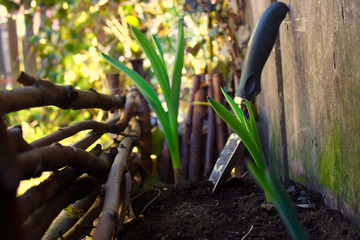 Gardening and Planting Flowers