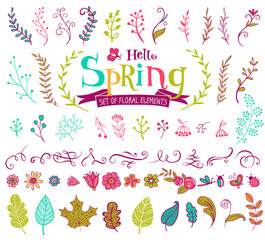 Floral spring design elements in doodle style