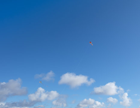 Kite