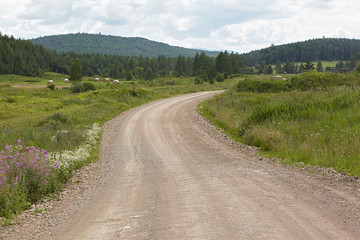 Fototapeta na wymiar Russia. Rural landscape. Road receding into the distance