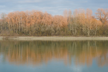 Reflection of the trees in the river