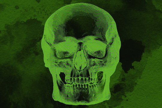 Scull in green background