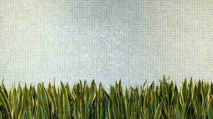 green wall tiles porcelain mosaic texture background with green leaves plant. beautiful cozy vintage style interior home decoration.