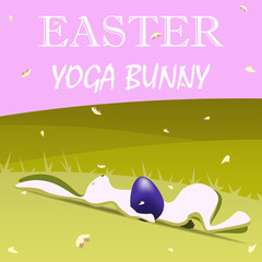 Easter yoga bunny.