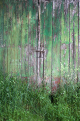 Old green barn door