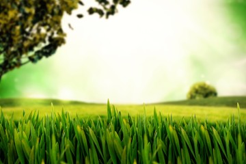 Obraz na płótnie Canvas Composite image of grass growing outdoors