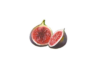Fig fruit. Watercolor hand drawn halves of tropical fresh organic exotic healthy fruit figs isolated on white background. Watercolour illustration