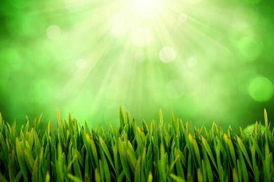 Composite Image Of Grass Growing Outdoors