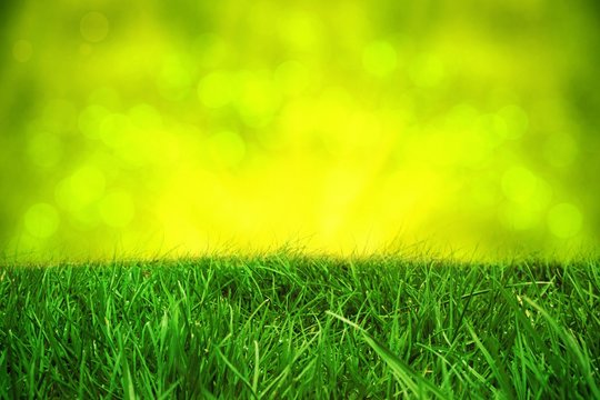 Composite image of grass