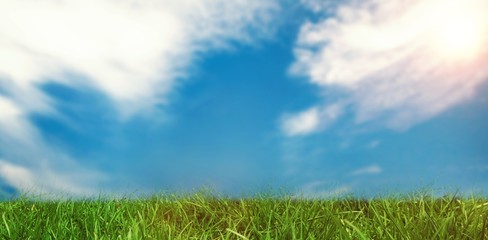 Fototapeta na wymiar Composite image of grass