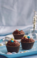 chocolate cupcakes decorated with skittles