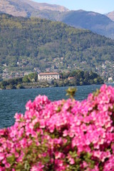 View to Isola Madre at Lake Maggiore in spring, Italy