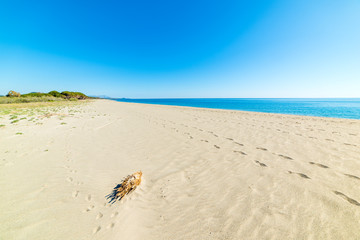 White sand in Perdepera beach