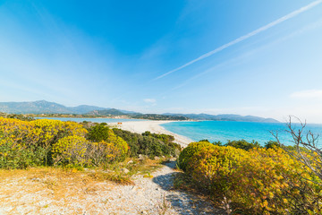 Obraz premium sunny day in Porto Giunco