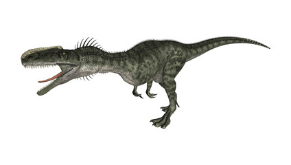 Obraz na płótnie Canvas 3D Rendering Dinosaur Monolophosaurus on White