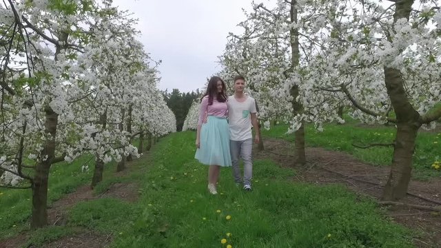 Junges verliebtes Paar im Kirschblütenfeld