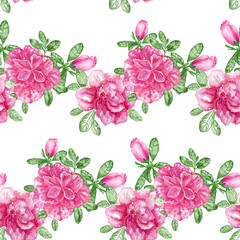 Azalea. Seamless Pattern with pink flowers on the white background / Watercolor illustration