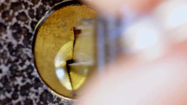 Key sliding into lock and locking\ unlocking door. Close-up of house key sliding into lock and locking door.
