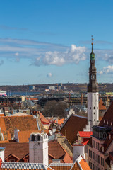 Obraz premium Towers And Roofs of old Tallinn