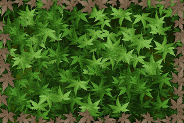 Green Leaves Autumn, Leaves Fall Background