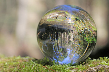 wald in kristallkugel, sense, bern, schweiz 