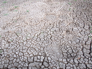 Barren ground horizontal