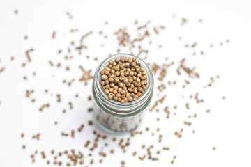 Organic Dried coriander seeds (Coriandrum sativum) in a glass jar, selective focus, on white background