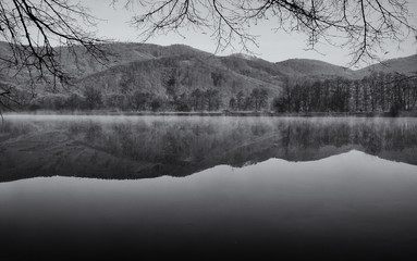 Fototapeta premium Early Morning Lake Fog with Tree Reflection in Water