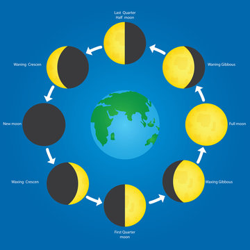 The Moon orbits Earth in the prograde direction Vector illustration