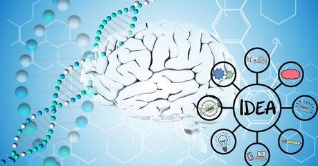 Digital composite image of 3d brain, DNA and idea graphics