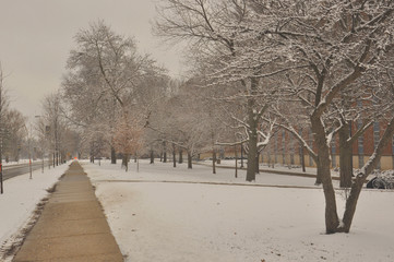 frigid winters