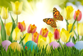 aster eggs in grass, butterfly on sky background and flowers